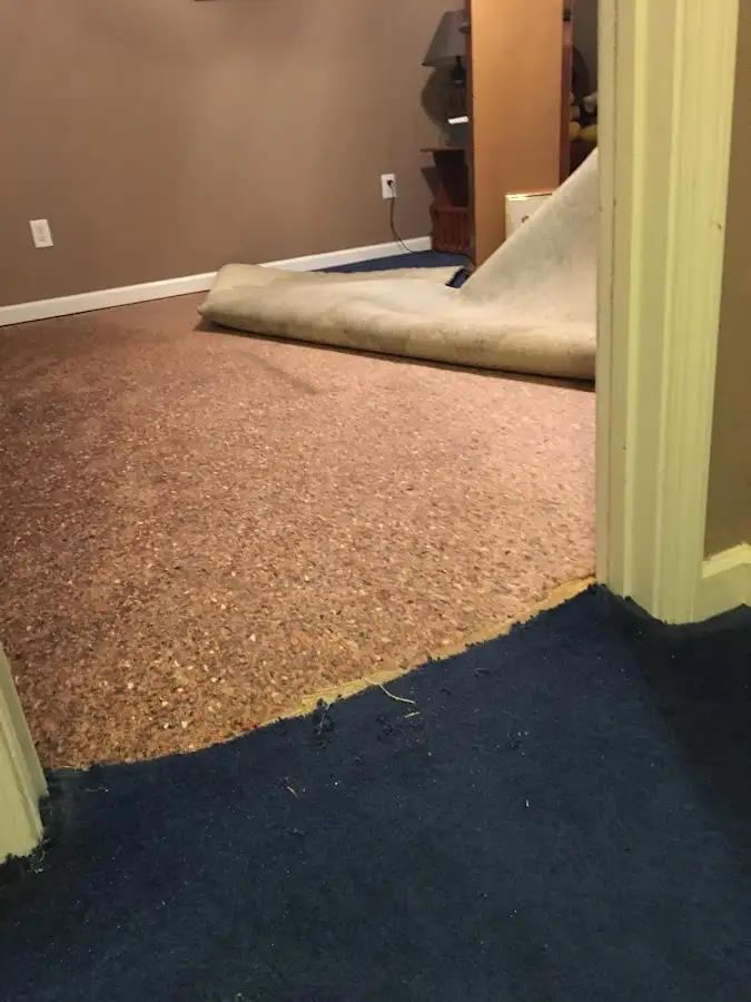 Carpet pad removal revealing water damage during Water Mitigation Services in Mullica