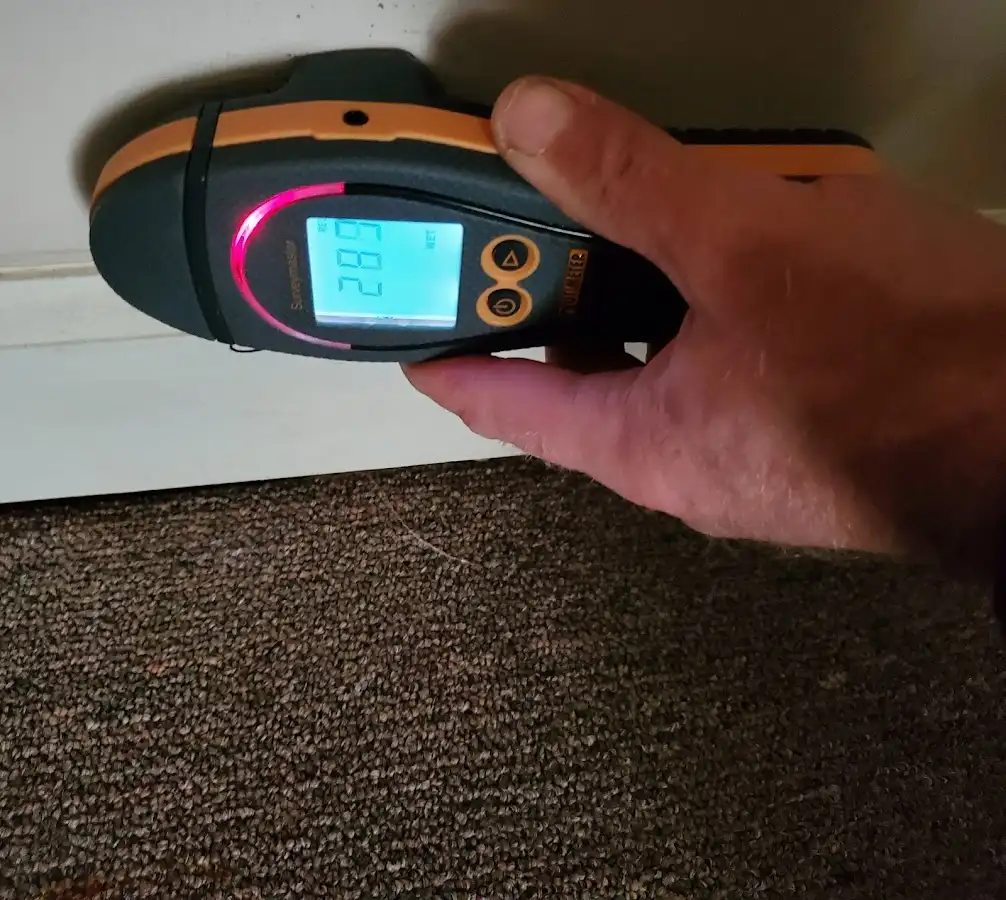 Moisture detection at baseboard during Sewage Cleanup & Sanitation in Mullica
